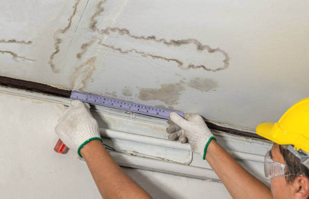 Reliable Structural Drying contractor in Linwood, MA by Water Damage Irwin